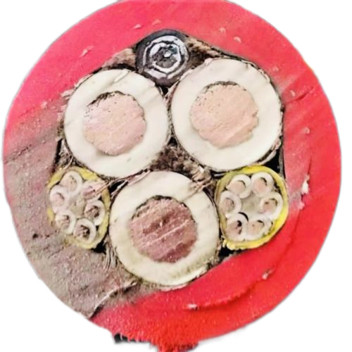 ������̳��hibet(�й�)�ٷ���վ