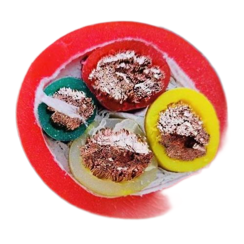 ������̳��hibet(�й�)�ٷ���վ