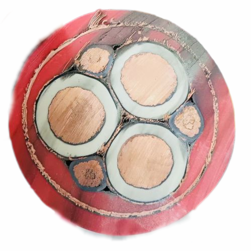 ������̳��hibet(�й�)�ٷ���վ