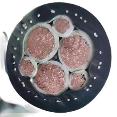 ������̳��hibet(�й�)�ٷ���վ