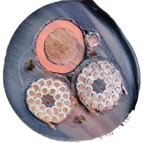 ������̳��hibet(�й�)�ٷ���վ