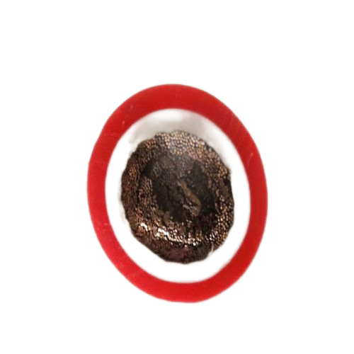 ������̳��hibet(�й�)�ٷ���վ